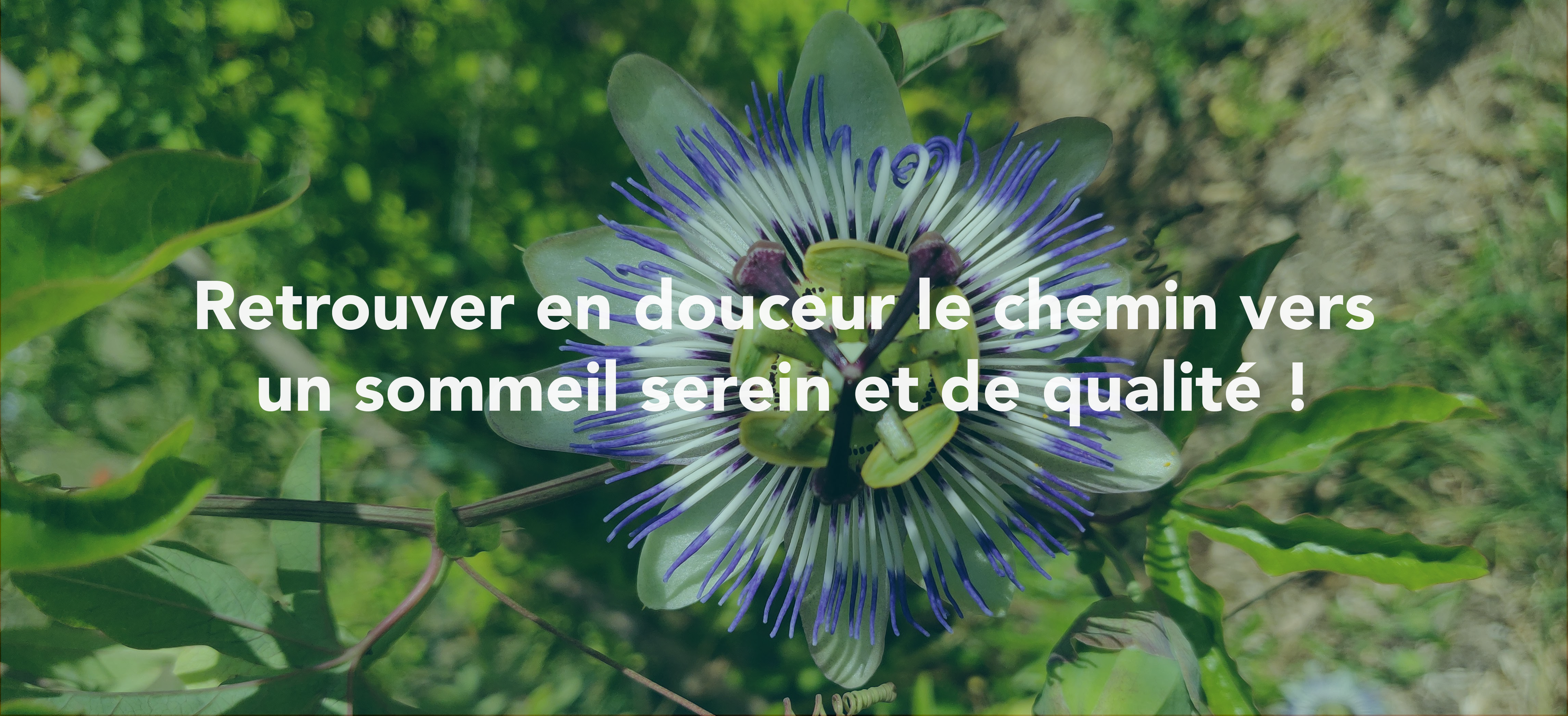 Le sommeil : entre rêves et désillusions…