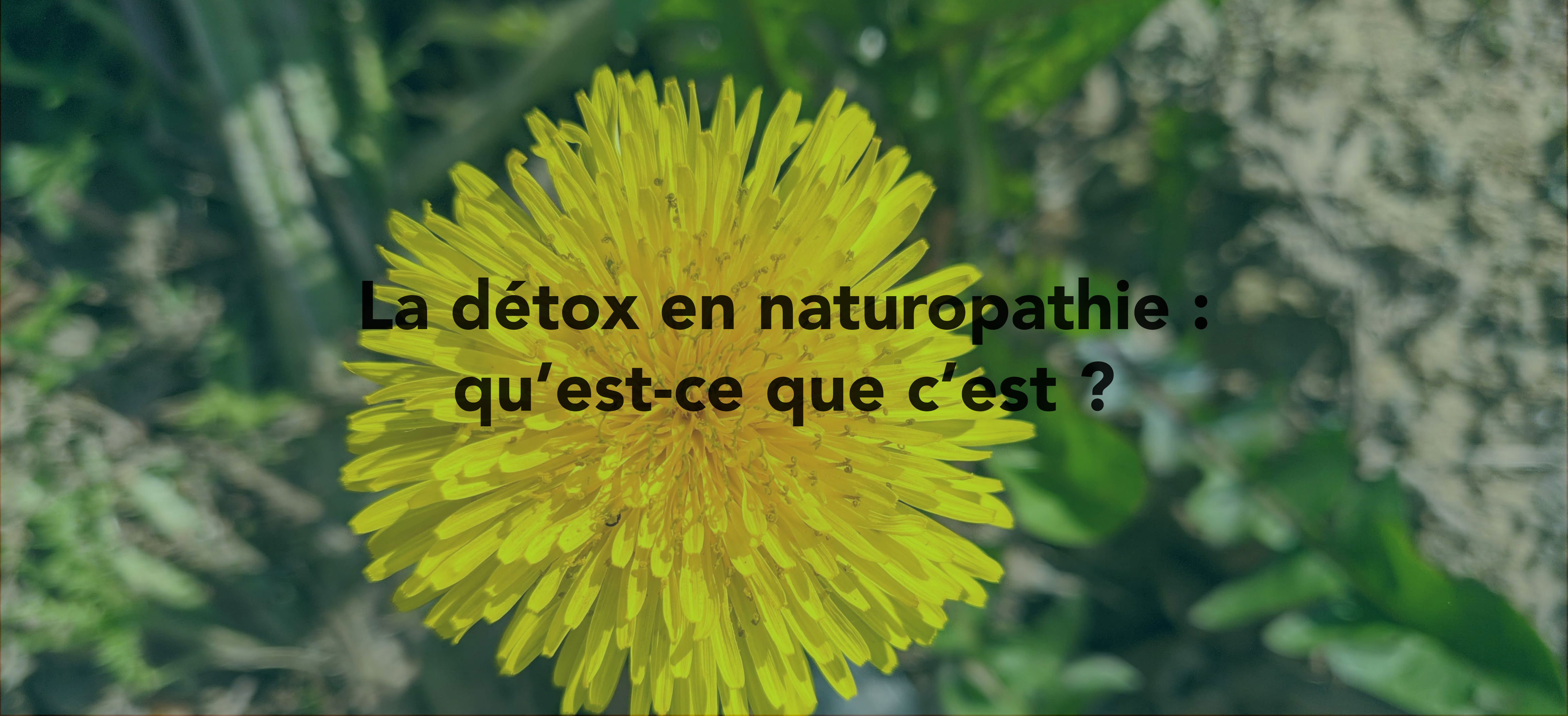 Naturopathie : tout savoir sur la détox !