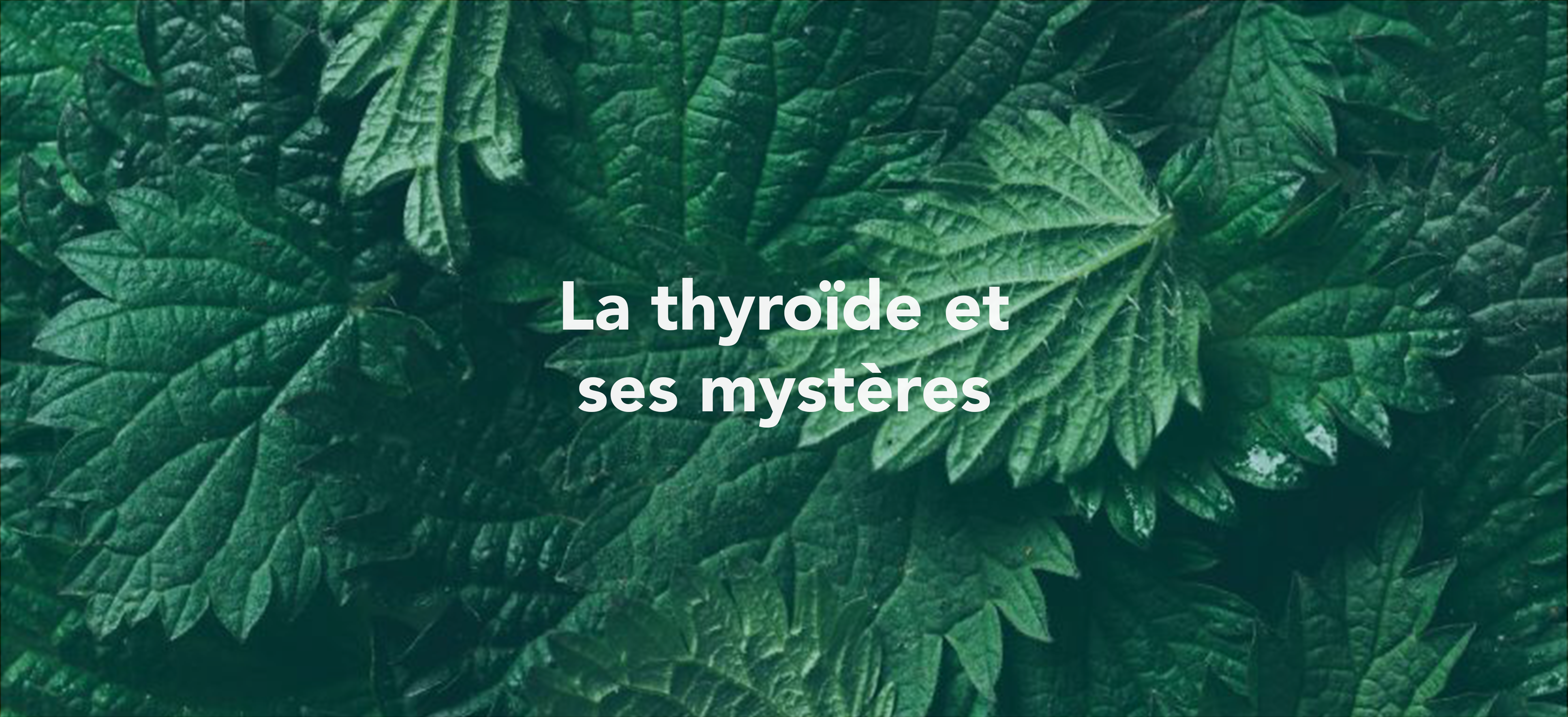 La thyroïde et ses mystères