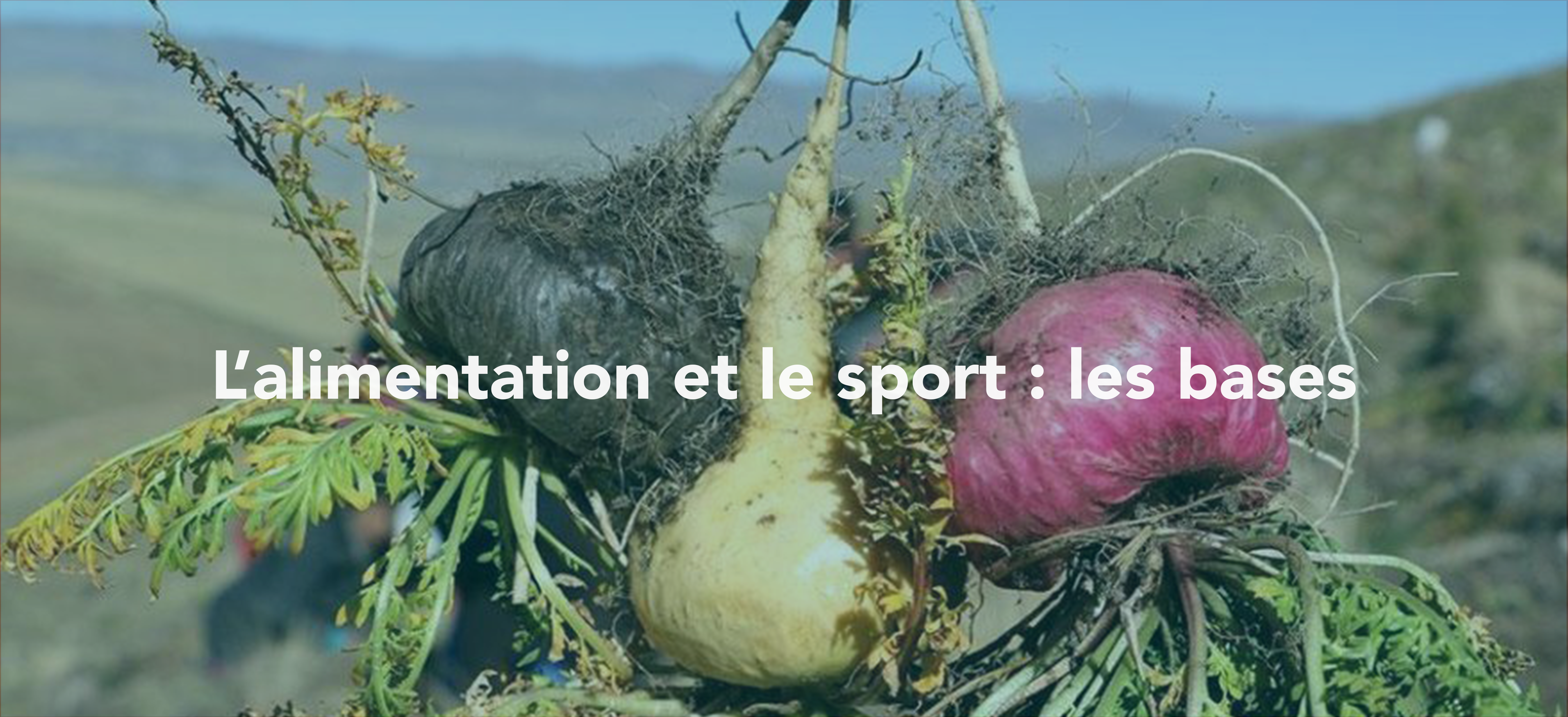 L’alimentation et le sport : les bases