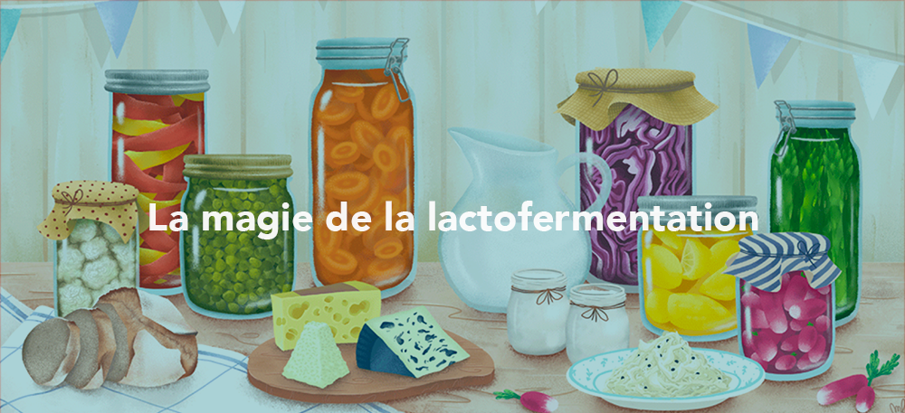 La magie de la lactofermentation